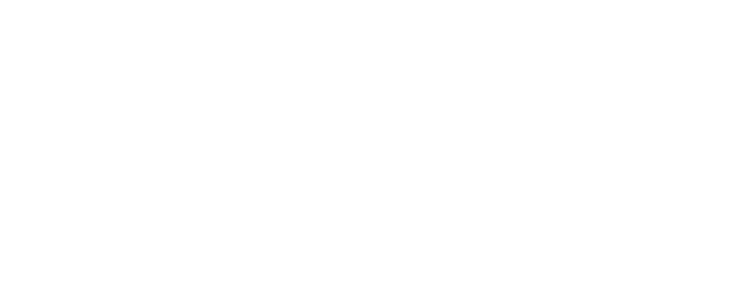 logo Salice