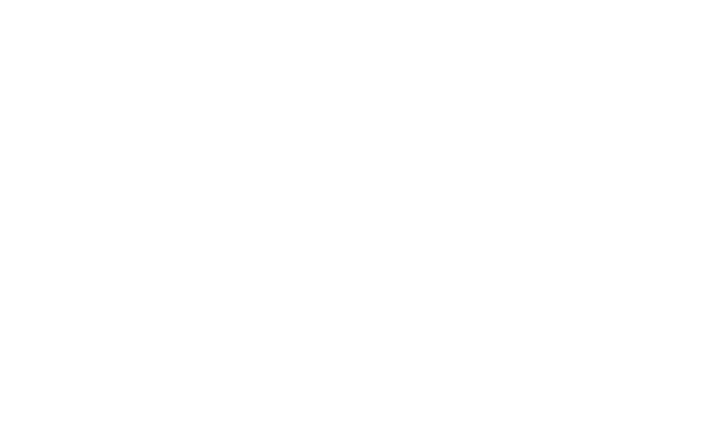 salomon logo