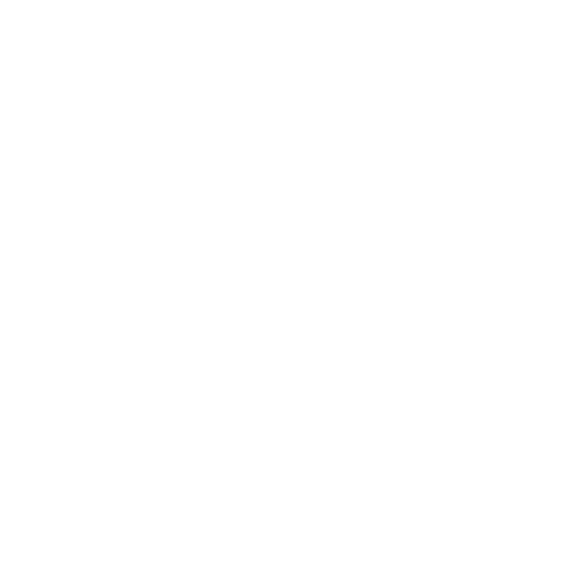 logo rossignol